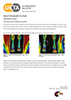 Equine thermography