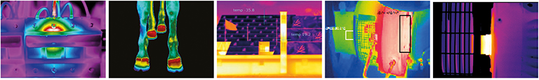 UK Thermography Association, thermal images