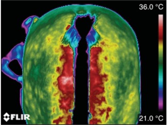 animal-veterinary-thermography